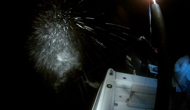 The 2013 snapper season in South Australia is closed from November 1 through until December 15. Image: Jamie Crawford